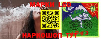 трава Кингисепп