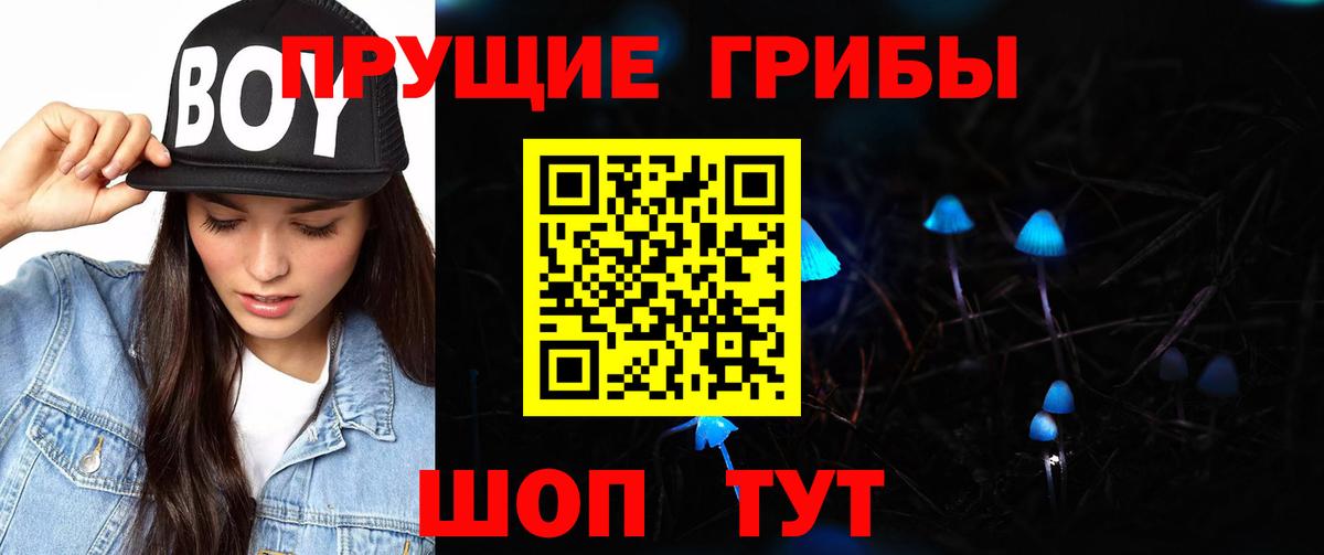 Галлюциногенные грибы мицелий  Галлюциногенные грибы Psilocybine cubensis  Вход с VPN  Кудымкар 